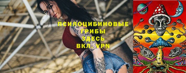 бошки Абаза