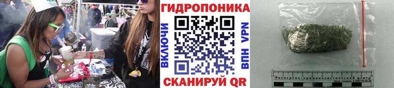 Каннабис SATIVA & INDICA  Осташков 